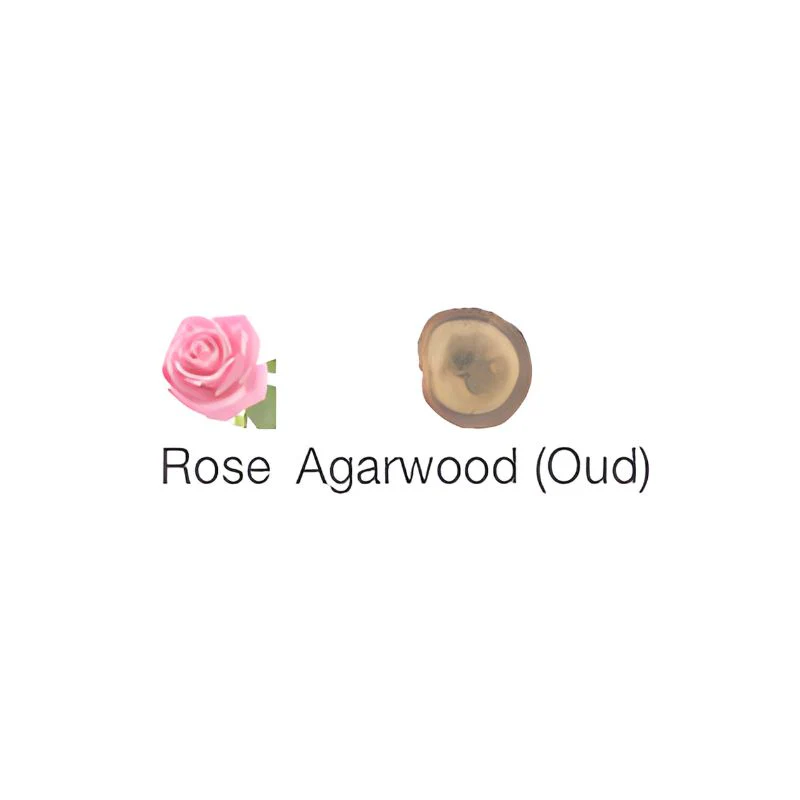 Ahmed OUD & ROSES - Image 2