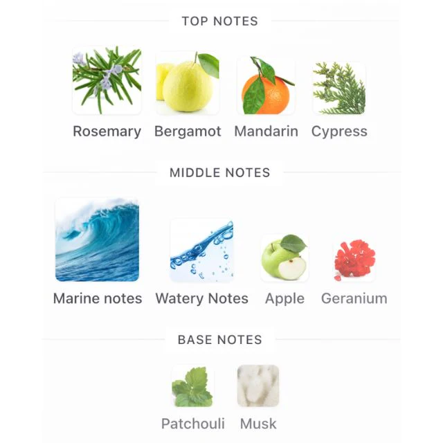 Arabiyat Prestige RAEES - Image 2