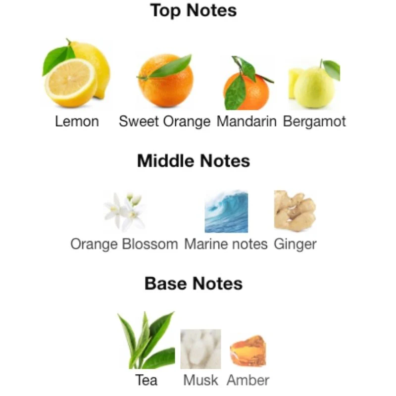 Armaf ODYSSEY LIMONI EDP - Image 3