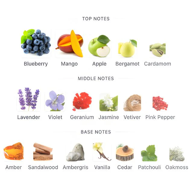 Fragrance World AROMATIX X FROSTBITE - Image 2