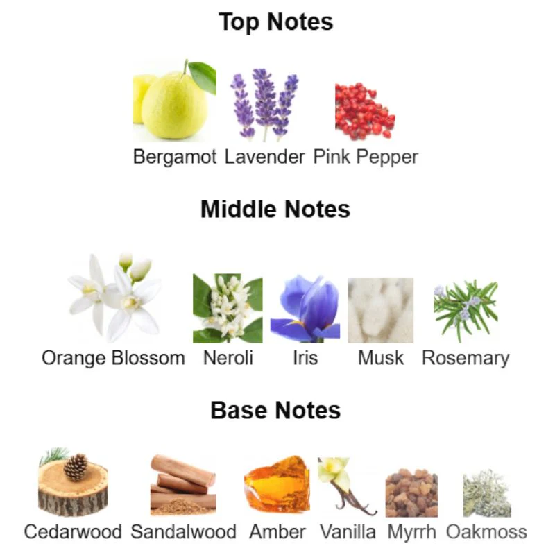 Fragrance World MAGNETIQ AROMATIX - Image 2