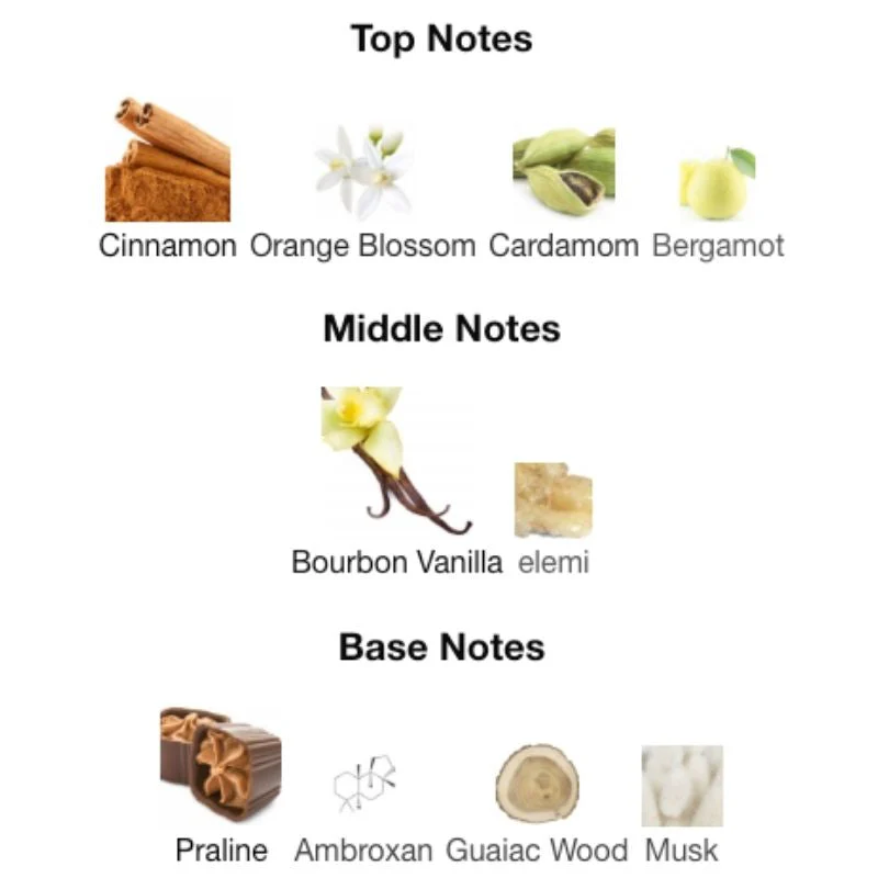 French Avenue LIQUID BRUN Partial - Image 2