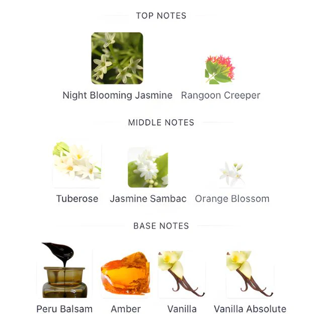 Gucci BLOOM PARFUM - Image 2