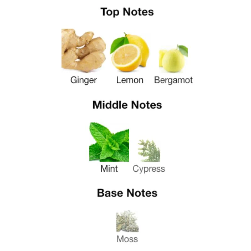 Paris Corner MAWJ MOSCOW MULE - Image 2
